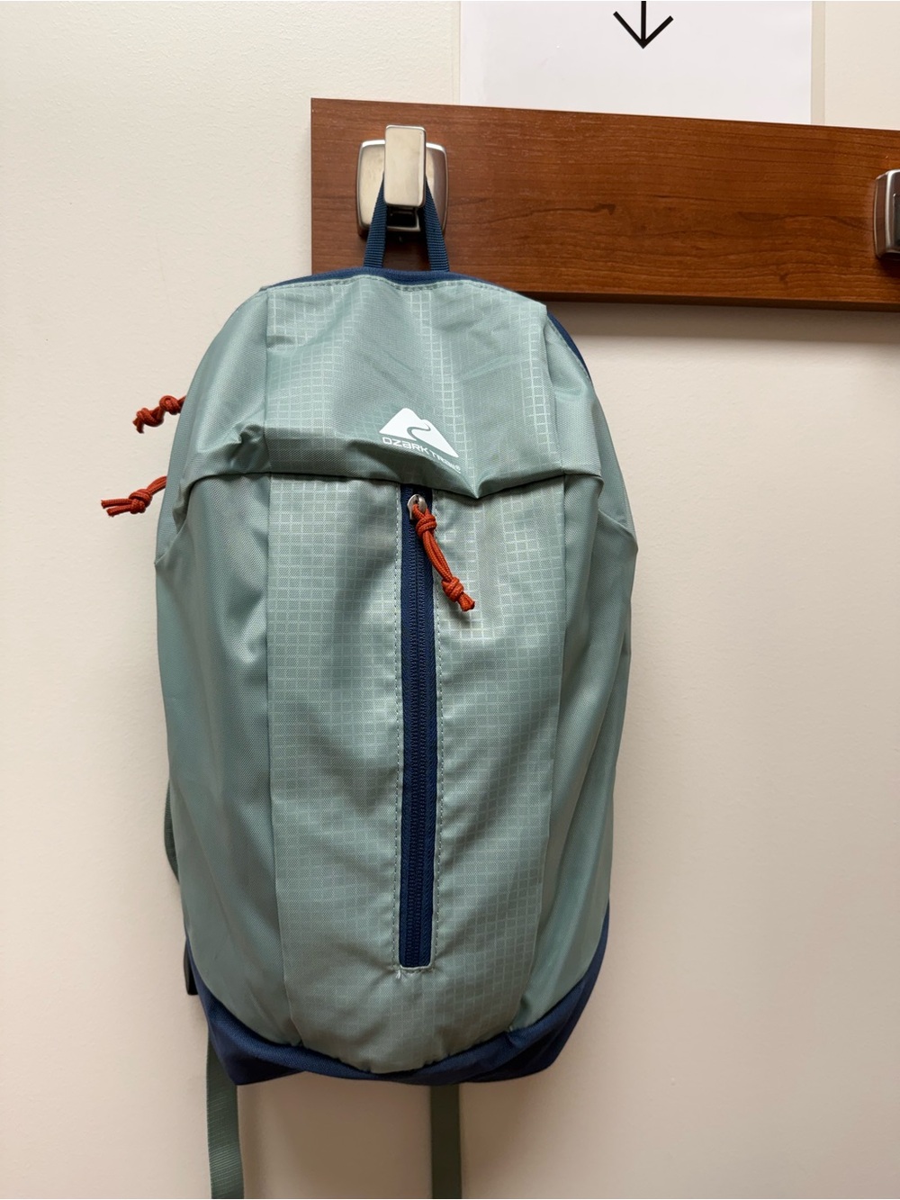 Ozark Trail 10 Liter Day Pack, Light Green, Embossed Fabric for Adults or Kids